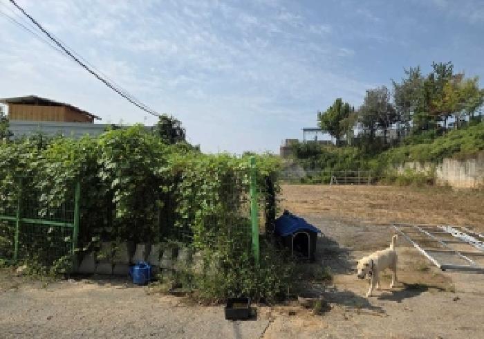 충청남도 천안시 서북구 직산읍 남산리 268-1 전 경매 사진 10