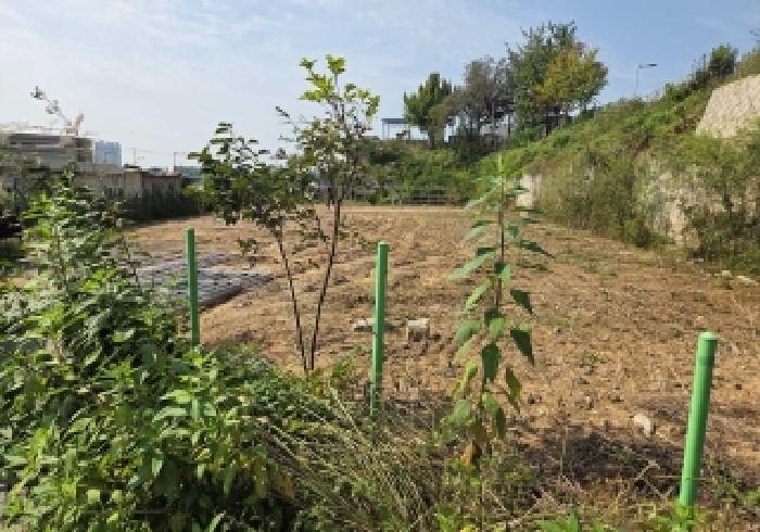 충청남도 천안시 서북구 직산읍 남산리 268-1 전 경매 사진 9
