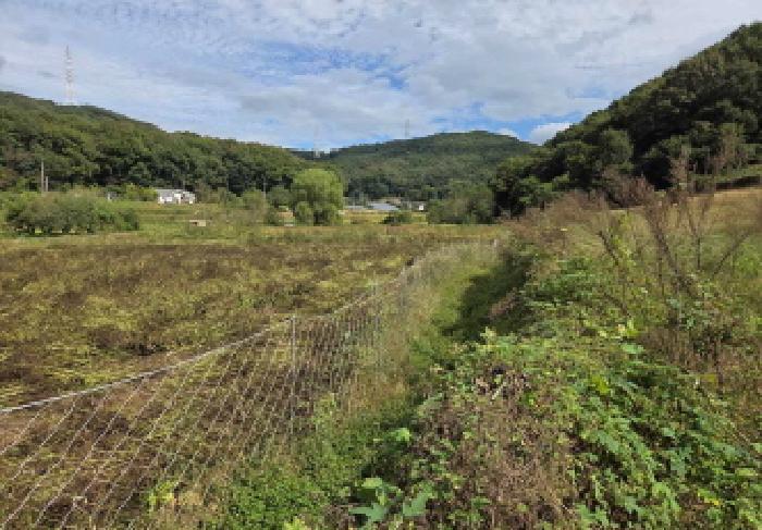 충청남도 아산시 음봉면 동천리 68 답 경매 사진 21