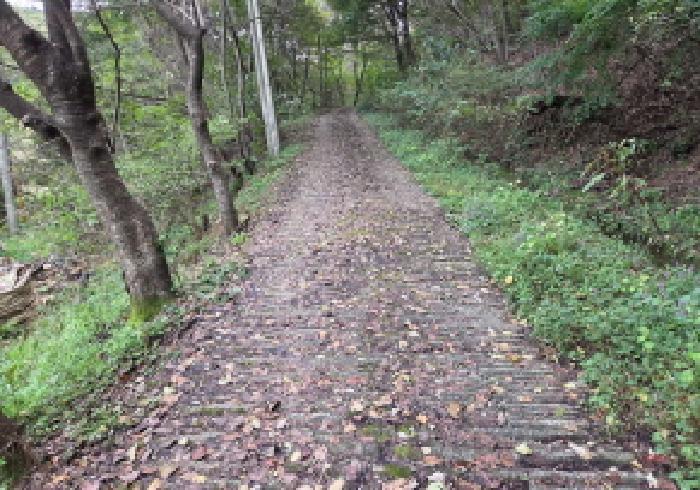 충청남도 아산시 음봉면 동천리 68 답 경매 사진 23