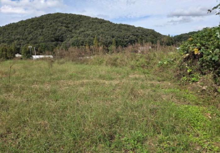 충청남도 아산시 음봉면 동천리 68 답 경매 사진 32