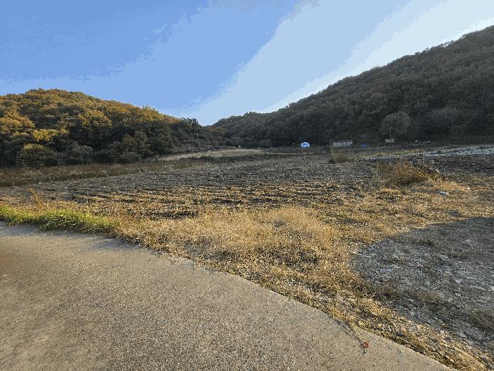 충청남도 아산시 음봉면 동천리 69-3 답 경매 사진 1