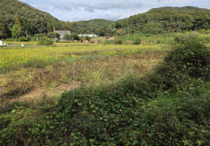 충청남도 아산시 음봉면 동천리 69-3 답 경매 사진 19