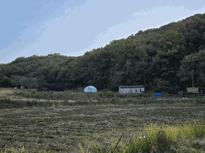충청남도 아산시 음봉면 동천리 69-3 답 경매 사진 2
