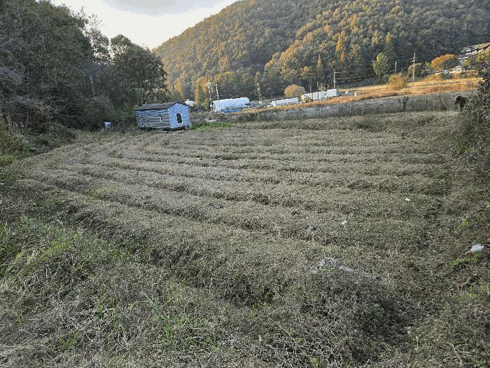 충청남도 아산시 음봉면 동천리 69-3 답 경매 사진 8