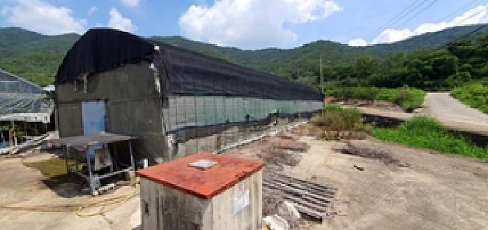 경상남도 김해시 대동면 예안리 1156 답 경매 사진 17