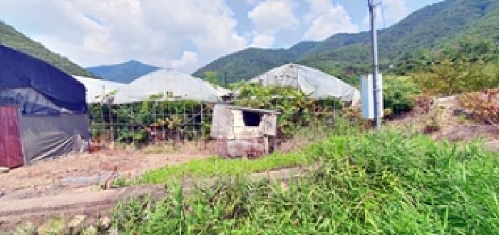 경상남도 김해시 대동면 예안리 1156 답 경매 사진 19