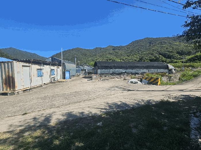 경상남도 김해시 대동면 예안리 1156 답 경매 사진 6