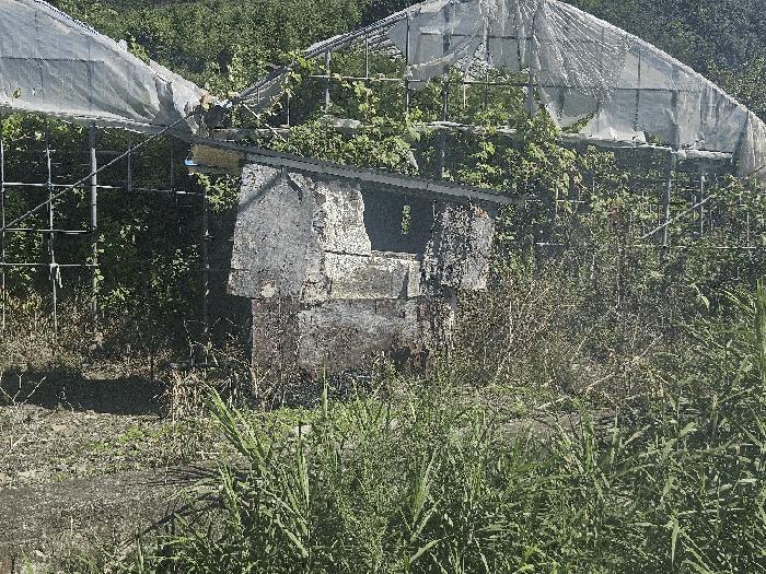 경상남도 김해시 대동면 예안리 1156 답 경매 사진 7