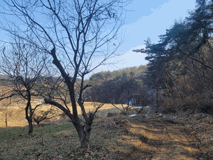 충청남도 공주시 우성면 방문리 635 전 경매 사진 11