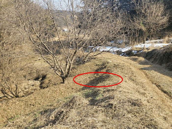 충청남도 공주시 우성면 방문리 635 전 경매 사진 7