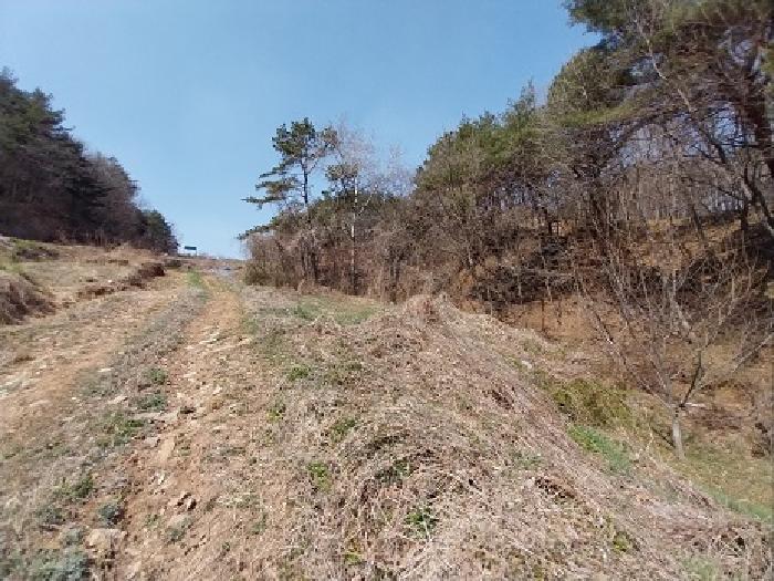 충청남도 공주시 우성면 방문리 648 답 경매 사진 19