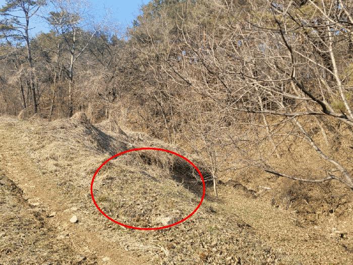 충청남도 공주시 우성면 방문리 648 답 경매 사진 3