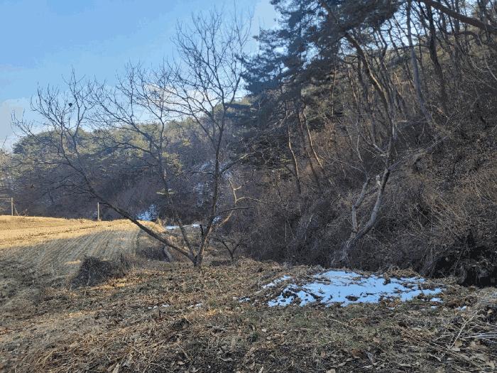 충청남도 공주시 우성면 방문리 648 답 경매 사진 6