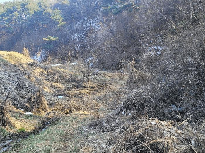 충청남도 공주시 우성면 방문리 937 전 경매 사진 2