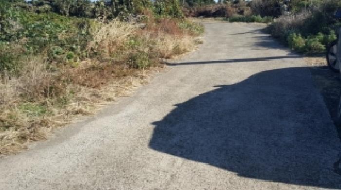 제주특별자치도 제주시 구좌읍 행원리 157-1 전 경매 사진 66