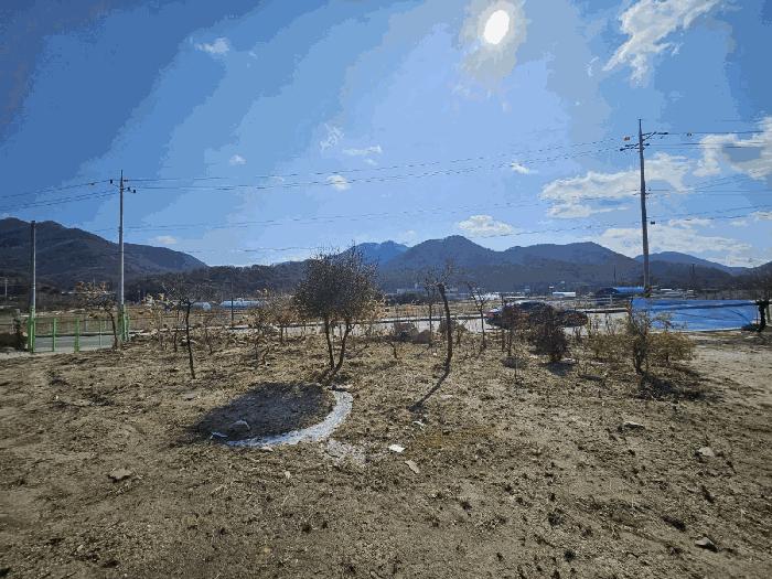 충청남도 공주시 반포면 학봉리 349 전 경매 사진 10
