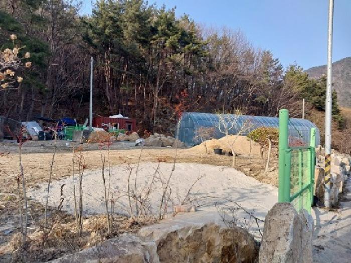 충청남도 공주시 반포면 학봉리 349 전 경매 사진 13