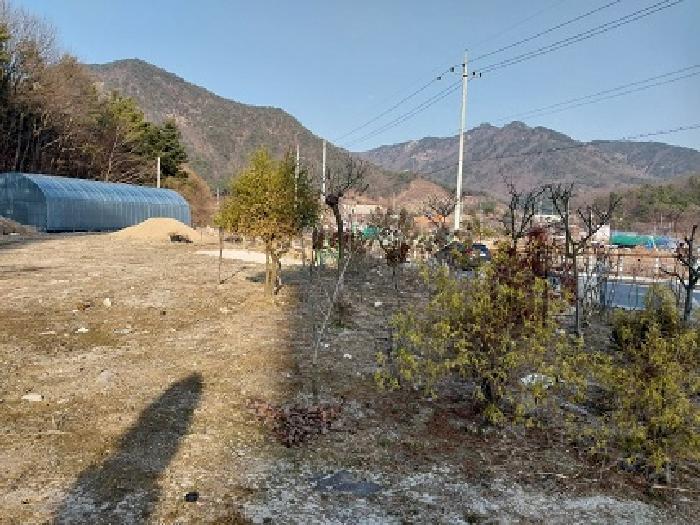 충청남도 공주시 반포면 학봉리 349 전 경매 사진 16
