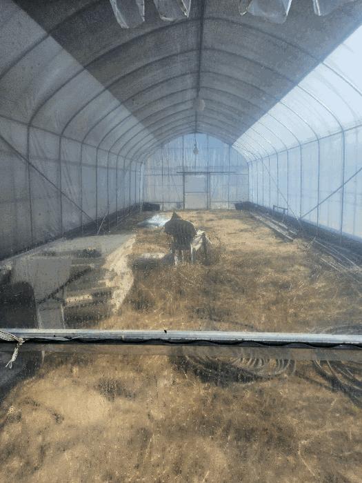 충청남도 공주시 반포면 학봉리 349 전 경매 사진 4