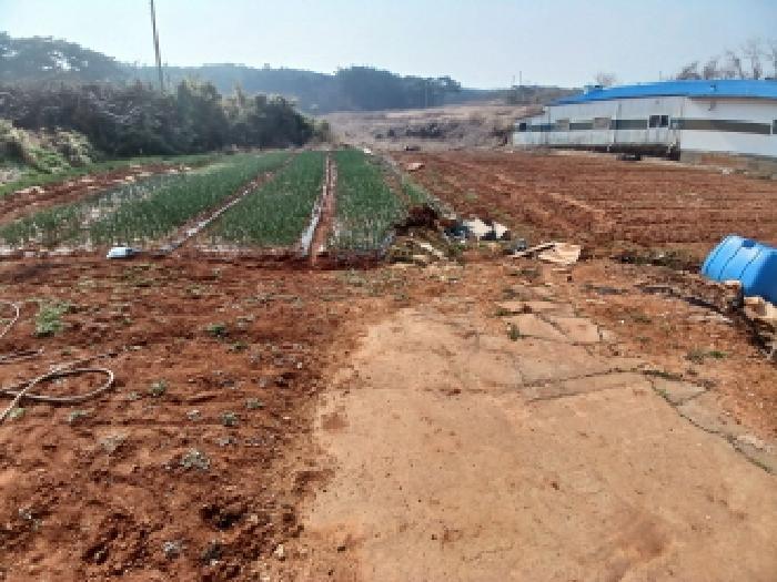 충청남도 당진시 석문면 삼봉리 548 전 경매 사진 12