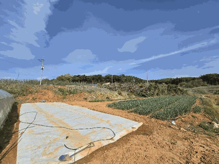 충청남도 당진시 석문면 삼봉리 548 전 경매 사진 2