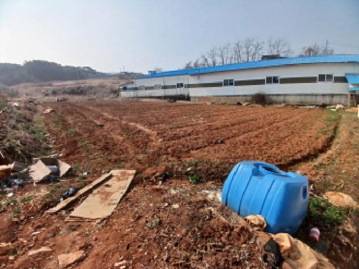 충청남도 당진시 석문면 삼봉리 548 전 경매 사진 8