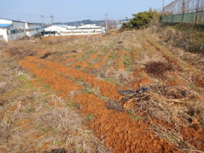충청남도 당진시 석문면 삼봉리 548 전 경매 사진 9