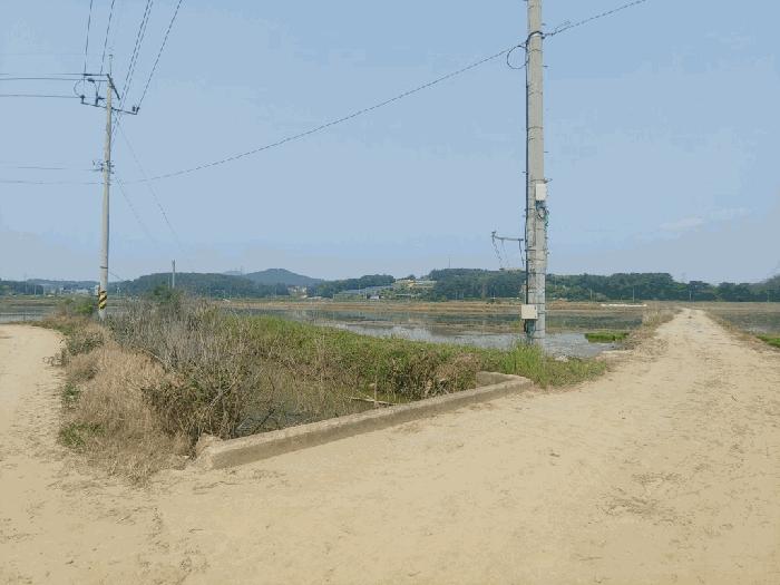 충청남도 서산시 지곡면 환성리 694-45 답 경매 사진 3