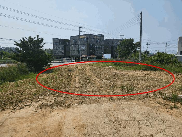 충청남도 당진시 석문면 교로리 434-1 대지 경매 사진 2
