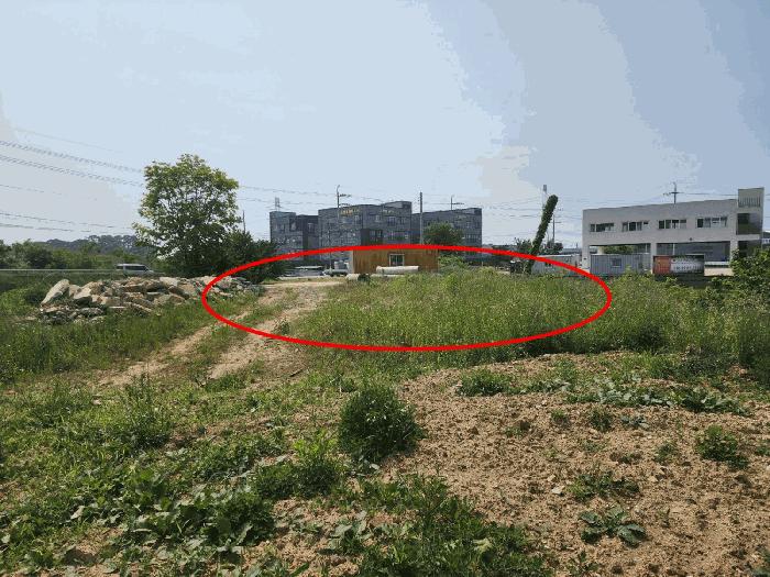 충청남도 당진시 석문면 교로리 434-1 대지 경매 사진 6
