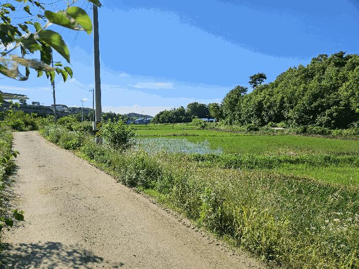 충청남도 당진시 송산면 상거리 78-2 답 경매 사진 3