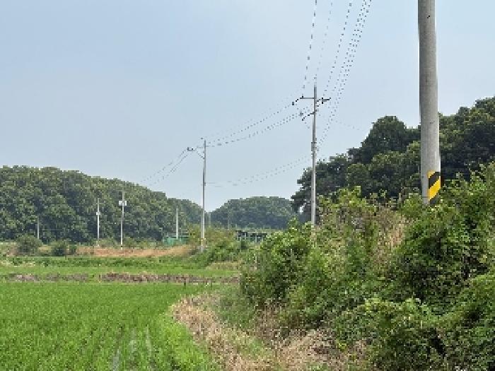 충청남도 당진시 송산면 상거리 78-2 답 경매 사진 8