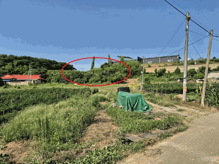 충청남도 당진시 석문면 삼봉리 767 전 경매 사진 2
