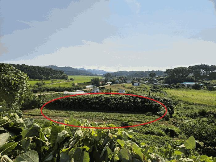 충청남도 당진시 석문면 삼봉리 479-1 전 경매 사진 4
