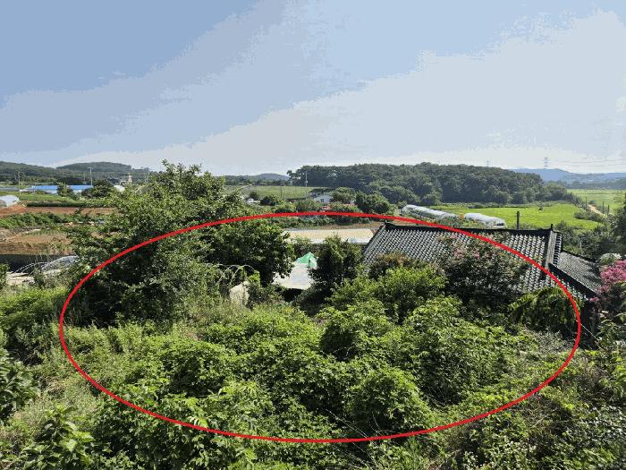 충청남도 당진시 석문면 삼봉리 479-1 전 경매 사진 5
