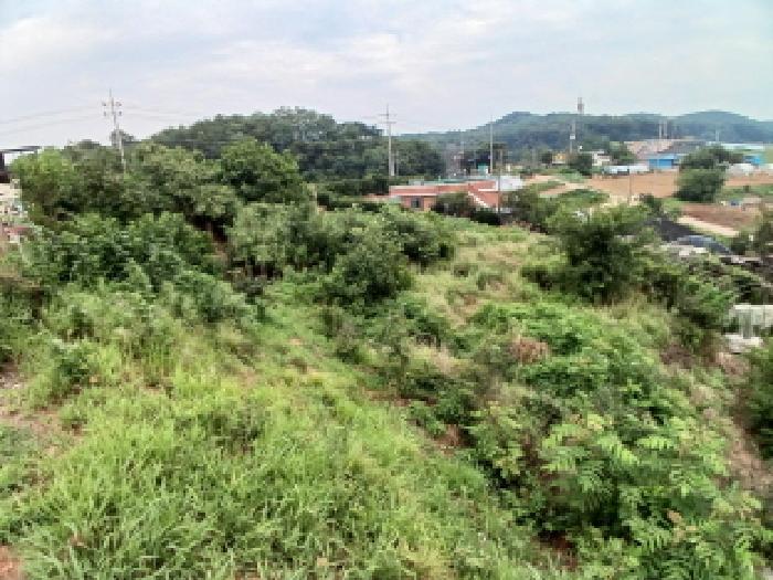 충청남도 당진시 석문면 삼봉리 479-1 전 경매 사진 6