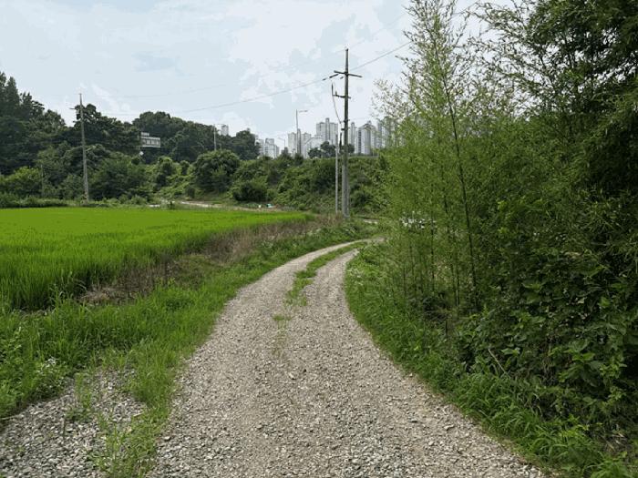 충청남도 당진시 송악읍 가학리 538 전 경매 사진 5