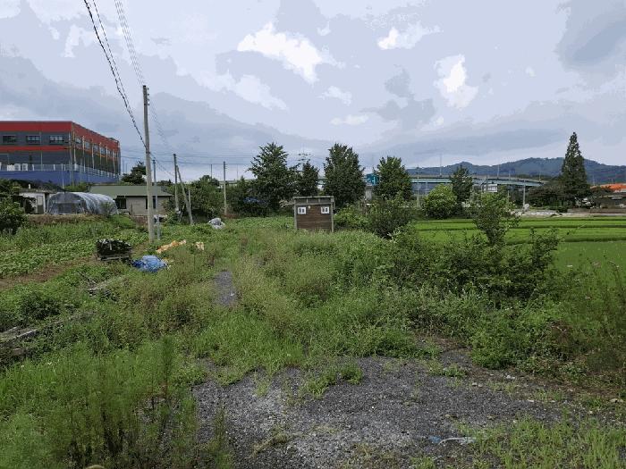 충청남도 서산시 음암면 탑곡리 202-2 전 경매 사진 10