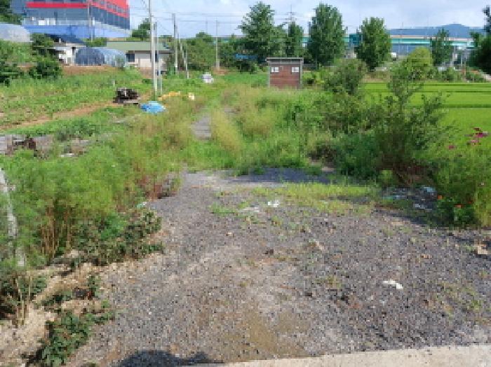충청남도 서산시 음암면 탑곡리 202-2 전 경매 사진 4