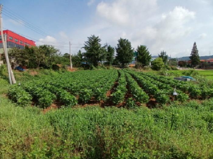 충청남도 서산시 음암면 탑곡리 202-2 전 경매 사진 6