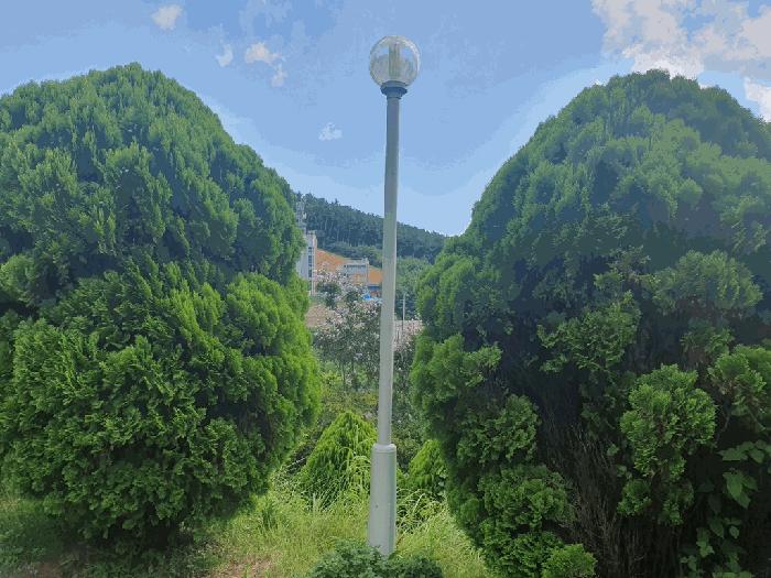 충청남도 태안군 임야