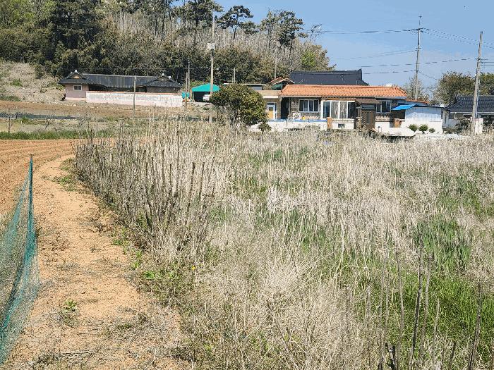 충청남도 서산시 부석면 간월도리 150 답 경매 사진 7