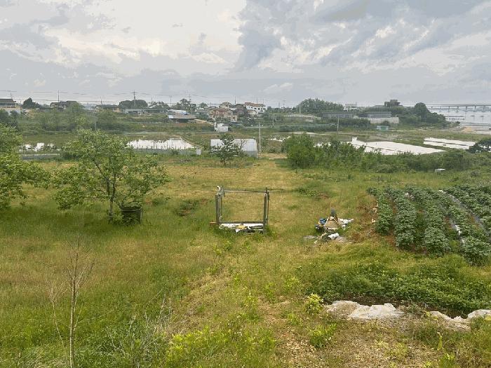 충청남도 당진시 신평면 매산리 1-276 과수원 경매 사진 1