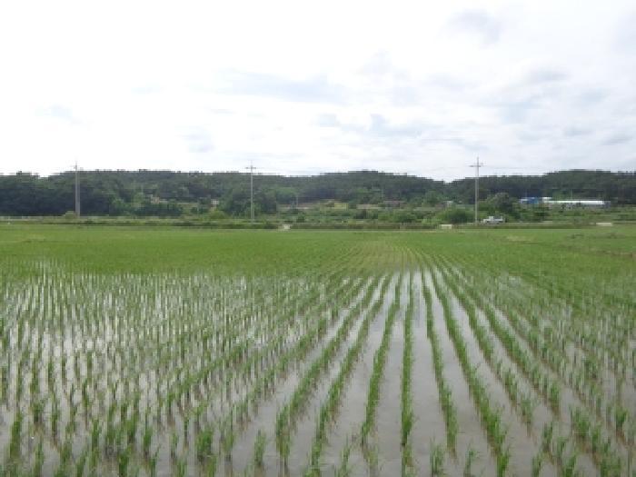 충청남도 서산시 부석면 강당리 96 임야 경매 사진 36