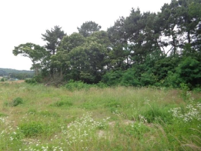 충청남도 서산시 지곡면 환성리 694-26 답 경매 사진 16