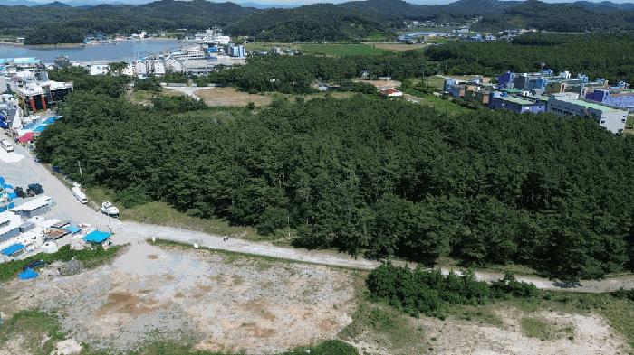 충청남도 태안군 안면읍 창기리 1269-43 임야 경매 사진 10