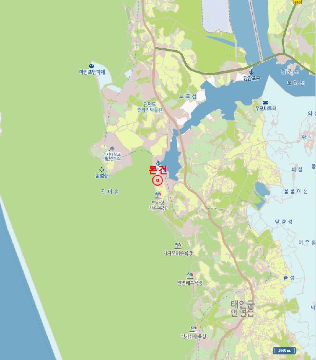 충청남도 태안군 안면읍 창기리 1269-43 임야 경매 사진 14