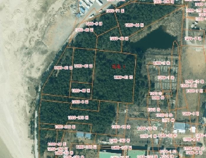 충청남도 태안군 안면읍 창기리 1269-43 임야 경매 사진 2