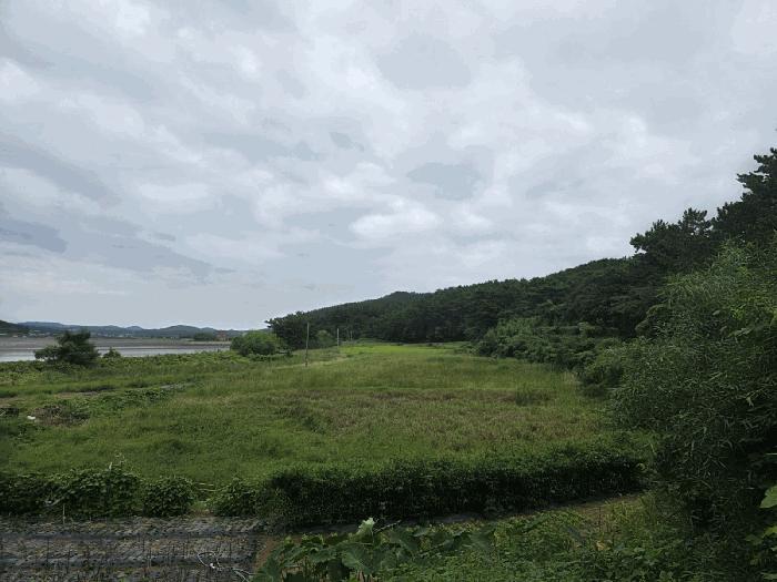 충청남도 태안군 근흥면 마금리 1225 답 경매 사진 1